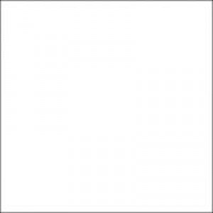 Gạch Trường Thịnh BLACK & WHITE FASHION TT88000